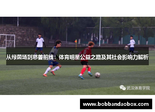 从绿茵场到慈善前线：体育明星公益之路及其社会影响力解析